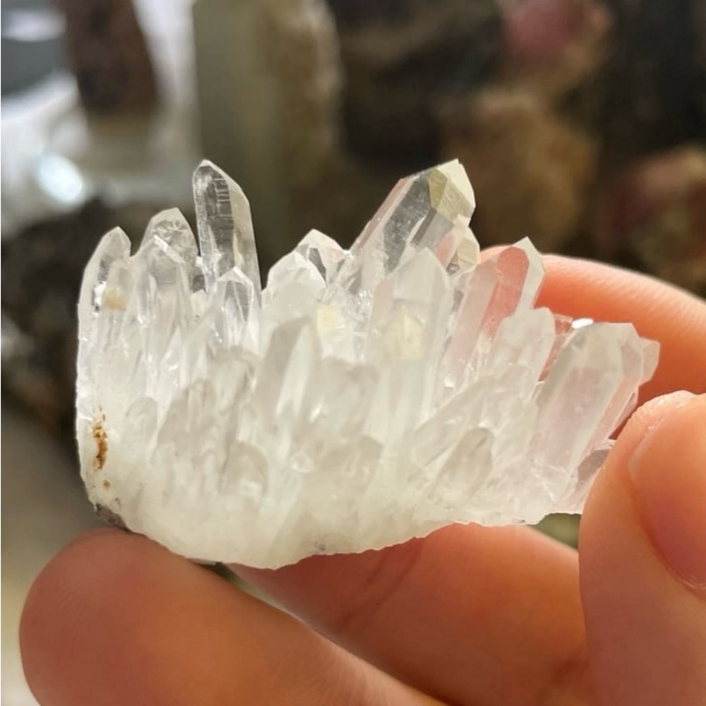 quartz with chlorite from bulgaria